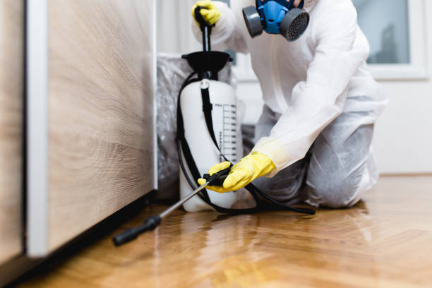 Trusted Eastlake, OH Pest Control Experts