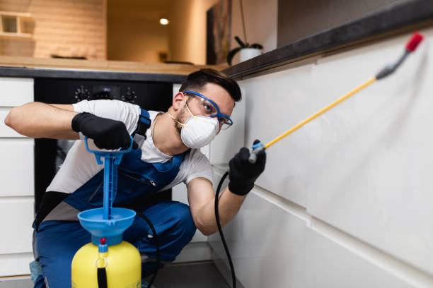 Best Cockroach Control Services  in Eastlake, OH