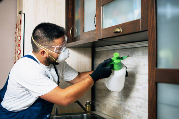 Best Flea Control Services  in Eastlake, OH