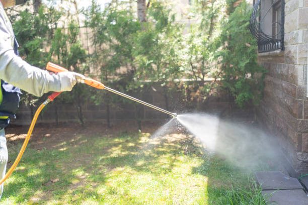 Bird Control in Eastlake, OH