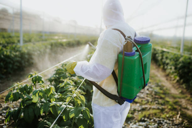 Best Emergency Pest Control  in Eastlake, OH